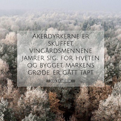 Picture 07 - Joel 1:11 NORSK - Akerdyrkerne er skuffet, vingårdsmennene jamrer - Bible Verse Picture