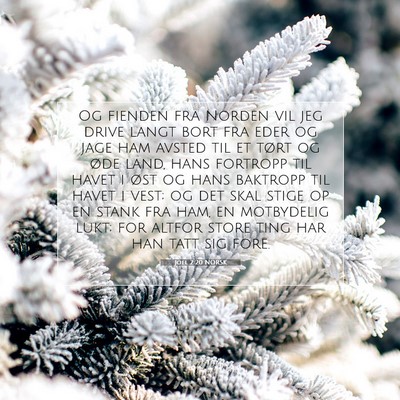 Picture 07 - Joel 2:20 NORSK - Og fienden fra Norden vil jeg drive langt bort - Bible Verse Picture