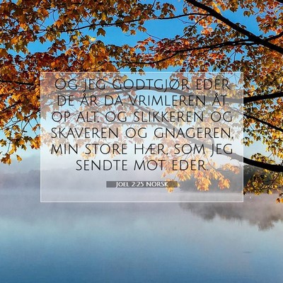 Picture 07 - Joel 2:25 NORSK - Og jeg godtgjør eder de år da vrimleren åt op - Bible Verse Picture