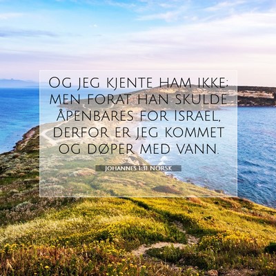 Picture 07 - Johannes 1:31 NORSK - Og jeg kjente ham ikke; men forat han skulde - Bible Verse Picture