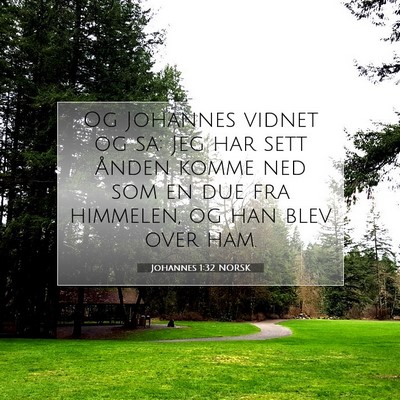 Picture 07 - Johannes 1:32 NORSK - Og Johannes vidnet og sa: Jeg har sett Ånden - Bible Verse Picture