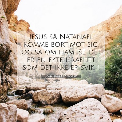 Picture 07 - Johannes 1:47 NORSK - Jesus så Natanael komme bortimot sig, og sa om - Bible Verse Picture