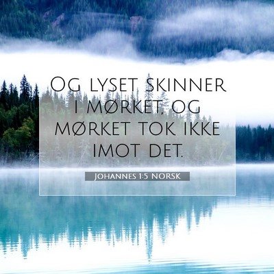 Picture 07 - Johannes 1:5 NORSK - Og lyset skinner i mørket, og mørket tok ikke - Bible Verse Picture