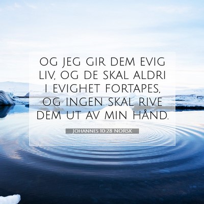 Picture 07 - Johannes 10:28 NORSK - og jeg gir dem evig liv, og de skal aldri i - Bible Verse Picture