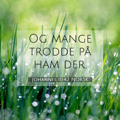 Picture 07 - Johannes 10:42 NORSK - Og mange trodde på ham - Bible Verse Picture