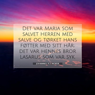 Picture 07 - Johannes 11:2 NORSK - Det var Maria som salvet Herren med salve og - Bible Verse Picture