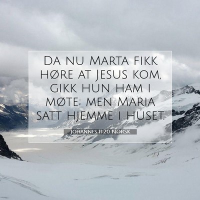 Picture 07 - Johannes 11:20 NORSK - Da nu Marta fikk høre at Jesus kom, gikk hun ham - Bible Verse Picture