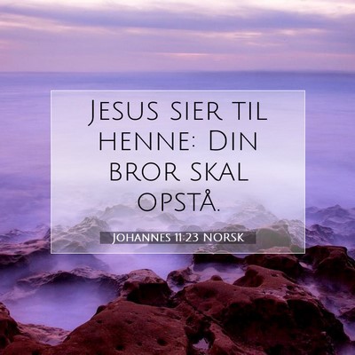 Picture 07 - Johannes 11:23 NORSK - Jesus sier til henne: Din bror skal - Bible Verse Picture