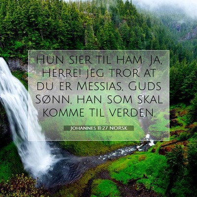Picture 07 - Johannes 11:27 NORSK - Hun sier til ham: Ja, Herre! jeg tror at du er - Bible Verse Picture