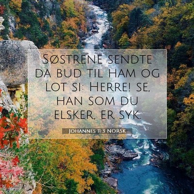 Picture 07 - Johannes 11:3 NORSK - Søstrene sendte da bud til ham og lot si: Herre! - Bible Verse Picture