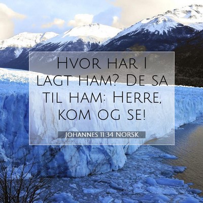 Picture 07 - Johannes 11:34 NORSK - Hvor har I lagt ham? De sa til ham: Herre, kom og - Bible Verse Picture