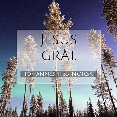 Picture 07 - Johannes 11:35 NORSK - Jesus - Bible Verse Picture