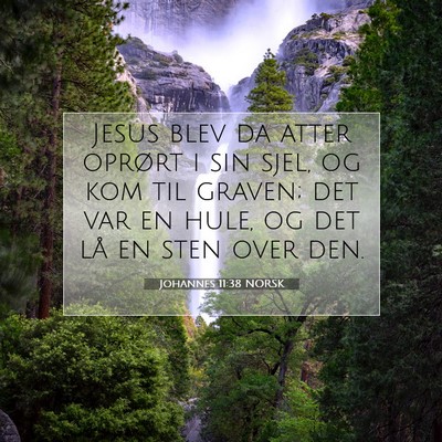 Picture 07 - Johannes 11:38 NORSK - Jesus blev da atter oprørt i sin sjel, og kom - Bible Verse Picture