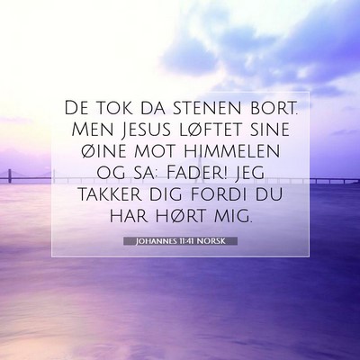 Picture 07 - Johannes 11:41 NORSK - De tok da stenen bort. Men Jesus løftet sine - Bible Verse Picture