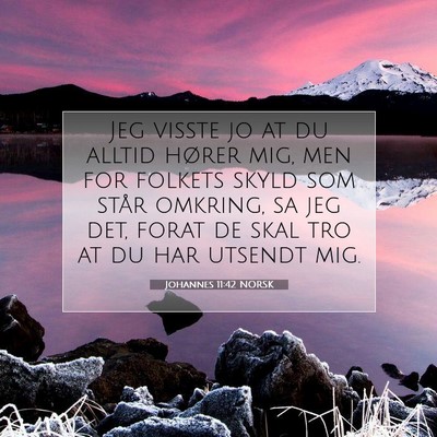 Picture 07 - Johannes 11:42 NORSK - Jeg visste jo at du alltid hører mig, men for - Bible Verse Picture