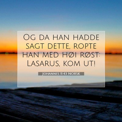 Picture 07 - Johannes 11:43 NORSK - Og da han hadde sagt dette, ropte han med høi - Bible Verse Picture