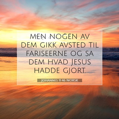 Picture 07 - Johannes 11:46 NORSK - men nogen av dem gikk avsted til fariseerne og sa - Bible Verse Picture