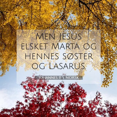 Picture 07 - Johannes 11:5 NORSK - Men Jesus elsket Marta og hennes søster og - Bible Verse Picture