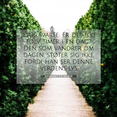 Picture 07 - Johannes 11:9 NORSK - Jesus svarte: Er det ikke tolv timer i en dag? - Bible Verse Picture