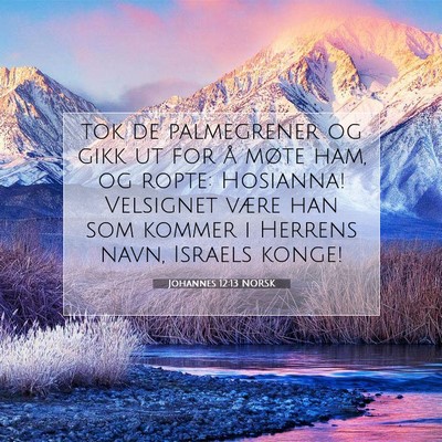 Picture 07 - Johannes 12:13 NORSK - tok de palmegrener og gikk ut for å møte ham, - Bible Verse Picture