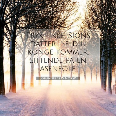 Picture 07 - Johannes 12:15 NORSK - Frykt ikke, Sions datter! Se, din konge kommer, - Bible Verse Picture
