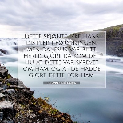 Picture 07 - Johannes 12:16 NORSK - Dette skjønte ikke hans disipler i førstningen; - Bible Verse Picture