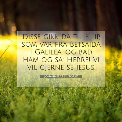 Picture 07 - Johannes 12:21 NORSK - Disse gikk da til Filip, som var fra Betsaida i - Bible Verse Picture