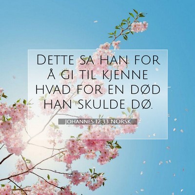 Picture 07 - Johannes 12:33 NORSK - Dette sa han for å gi til kjenne hvad for en - Bible Verse Picture