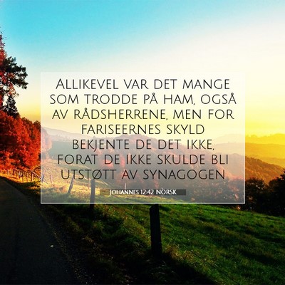 Picture 07 - Johannes 12:42 NORSK - Allikevel var det mange som trodde på ham, også - Bible Verse Picture