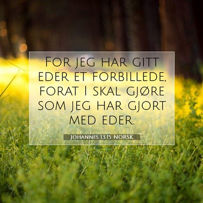 Picture 07 - Johannes 13:15 NORSK - For jeg har gitt eder et forbillede, forat I skal - Bible Verse Picture