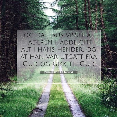 Picture 07 - Johannes 13:3 NORSK - og da Jesus visste at Faderen hadde gitt alt i - Bible Verse Picture