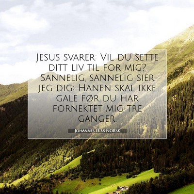 Picture 07 - Johannes 13:38 NORSK - Jesus svarer: Vil du sette ditt liv til for mig? - Bible Verse Picture
