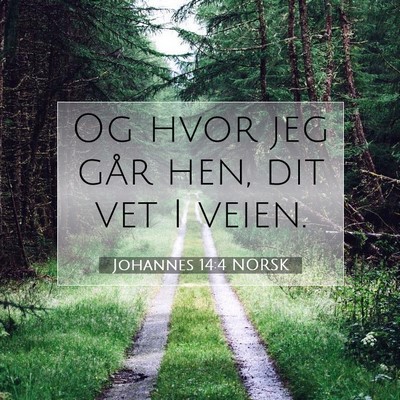 Picture 07 - Johannes 14:4 NORSK - Og hvor jeg går hen, dit vet I - Bible Verse Picture
