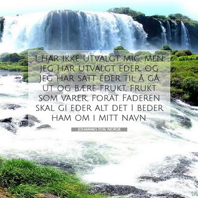 Picture 07 - Johannes 15:16 NORSK - I har ikke utvalgt mig, men jeg har utvalgt eder, - Bible Verse Picture