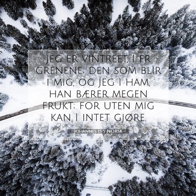 Picture 07 - Johannes 15:5 NORSK - Jeg er vintreet, I er grenene; den som blir i - Bible Verse Picture