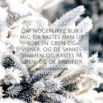 Picture 07 - Johannes 15:6 NORSK - Om nogen ikke blir i mig, da kastes han ut som en - Bible Verse Picture