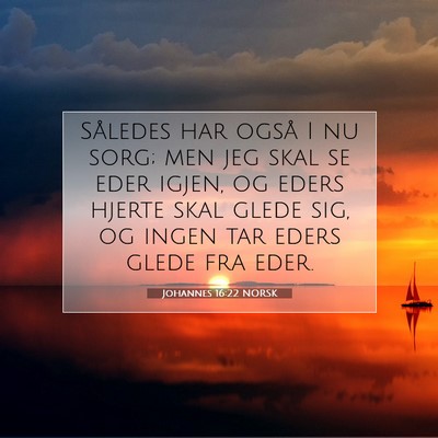 Picture 07 - Johannes 16:22 NORSK - Således har også I nu sorg; men jeg skal se - Bible Verse Picture