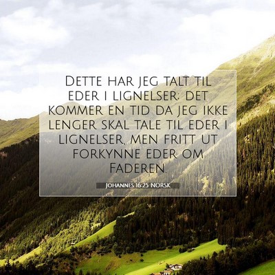 Picture 07 - Johannes 16:25 NORSK - Dette har jeg talt til eder i lignelser; det - Bible Verse Picture