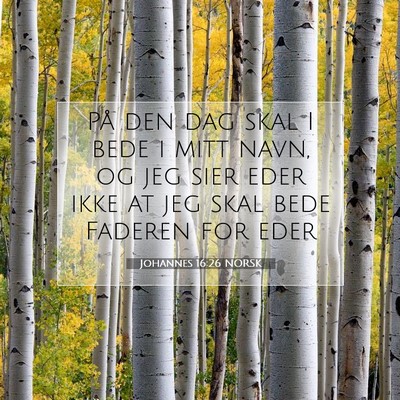 Picture 07 - Johannes 16:26 NORSK - På den dag skal I bede i mitt navn, og jeg sier - Bible Verse Picture