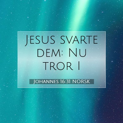 Picture 07 - Johannes 16:31 NORSK - Jesus svarte dem: Nu tror - Bible Verse Picture