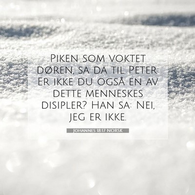 Picture 07 - Johannes 18:17 NORSK - Piken som voktet døren, sa da til Peter: Er ikke - Bible Verse Picture