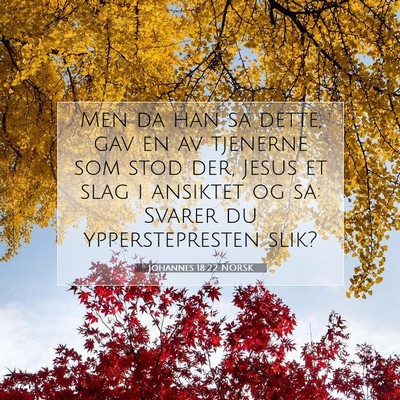 Picture 07 - Johannes 18:22 NORSK - Men da han sa dette, gav en av tjenerne som stod - Bible Verse Picture