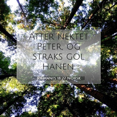 Picture 07 - Johannes 18:27 NORSK - Atter nektet Peter, og straks gol - Bible Verse Picture