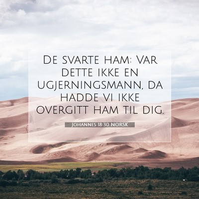 Picture 07 - Johannes 18:30 NORSK - De svarte ham: Var dette ikke en ugjerningsmann, - Bible Verse Picture