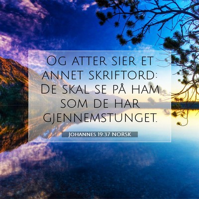 Picture 07 - Johannes 19:37 NORSK - Og atter sier et annet skriftord: De skal se på - Bible Verse Picture