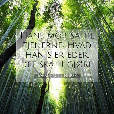 Picture 07 - Johannes 2:5 NORSK - Hans mor sa til tjenerne: Hvad han sier eder, det - Bible Verse Picture