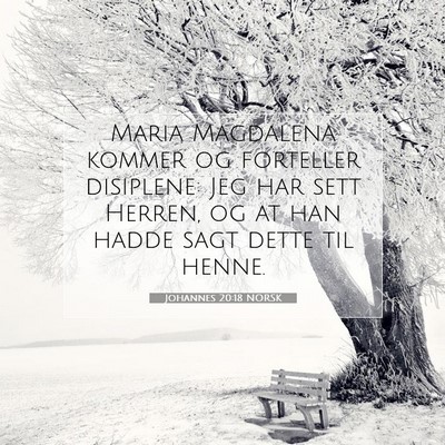 Picture 07 - Johannes 20:18 NORSK - Maria Magdalena kommer og forteller disiplene: - Bible Verse Picture