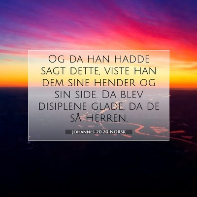 Picture 07 - Johannes 20:20 NORSK - Og da han hadde sagt dette, viste han dem sine - Bible Verse Picture