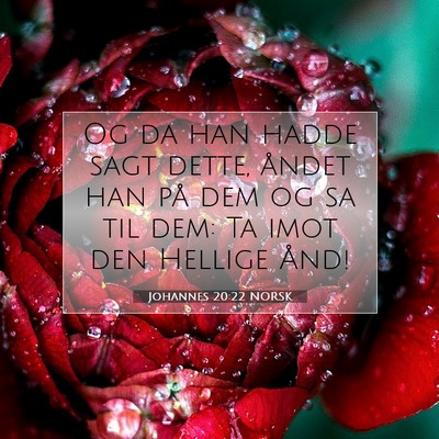 Picture 07 - Johannes 20:22 NORSK - Og da han hadde sagt dette, åndet han på dem og - Bible Verse Picture