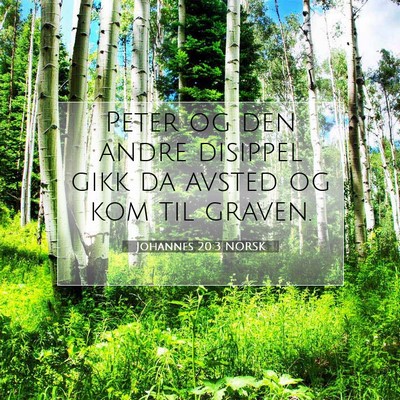 Picture 07 - Johannes 20:3 NORSK - Peter og den andre disippel gikk da avsted og kom - Bible Verse Picture